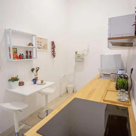 Apartment Charming In Downtown Josika St, Paprika *