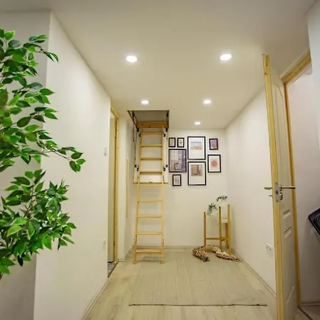 Charming In Downtown Josika St, Paprika Apartment *